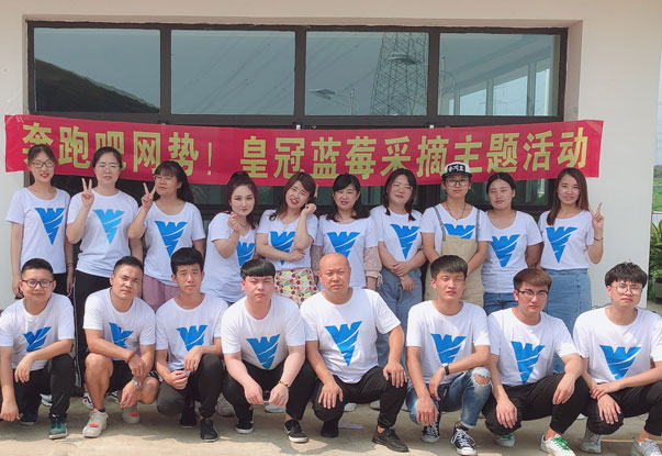 【奔跑吧網(wǎng)勢(shì)！】藍(lán)莓采摘主題團(tuán)建活動(dòng)