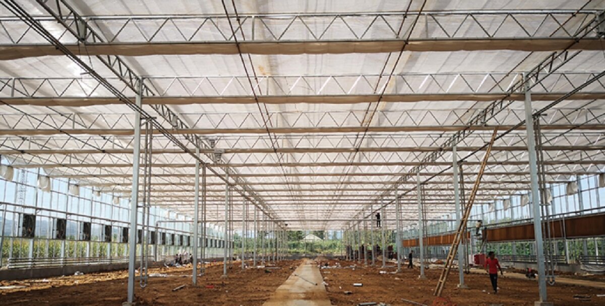 信橋鋼構：打卡蒙陰農(nóng)業(yè)溫室大棚、青州黑牛養(yǎng)殖基地！(圖3)